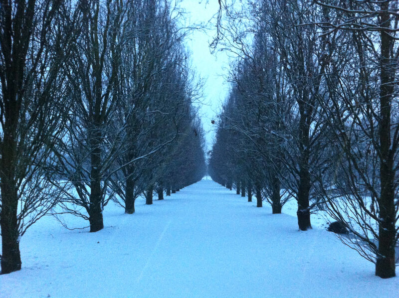 Winter_Foto