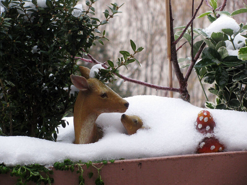 Winter_IMG_0579