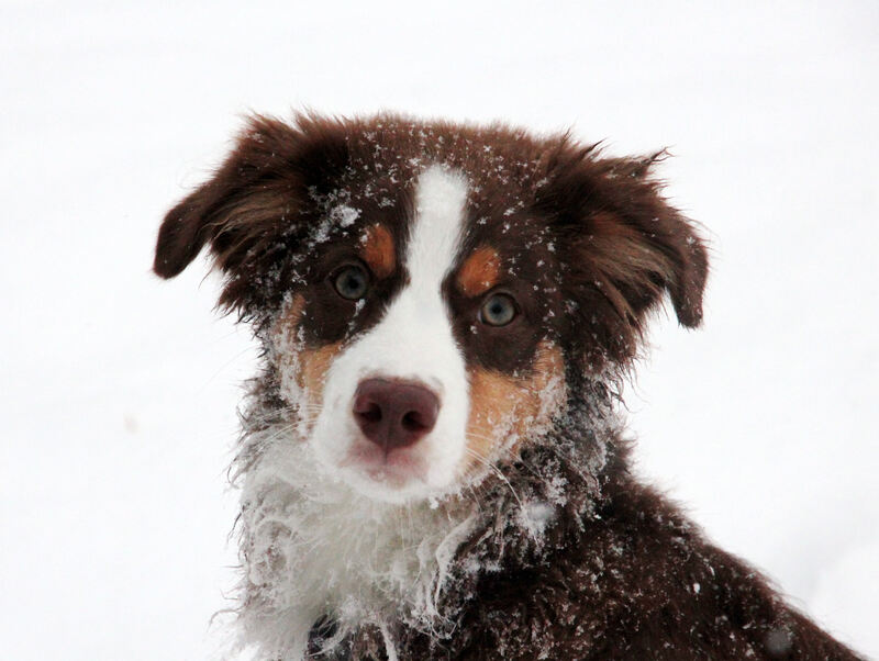 Winter_IMG_5334