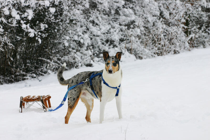 Winter_IMG_6675