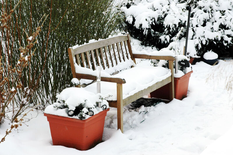 Winter_josef_lauber_wintergarten_1