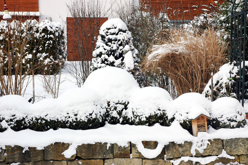 Winter_josef_lauber_wintergarten_2