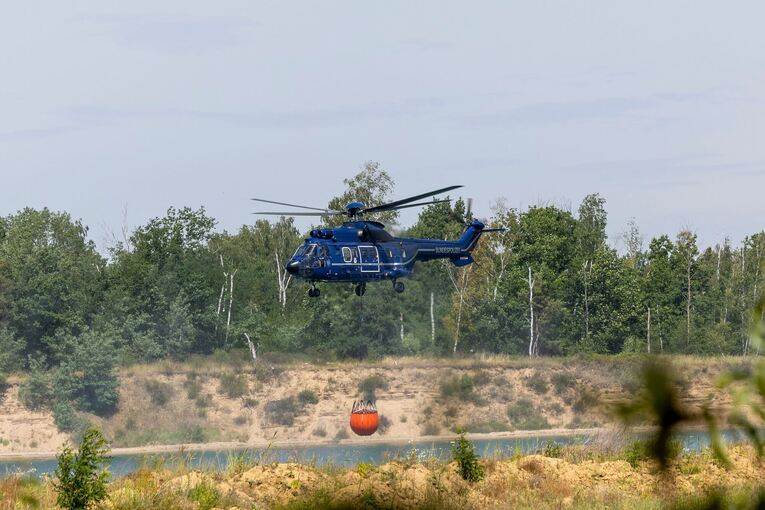 Waldbrand Gohrischheide