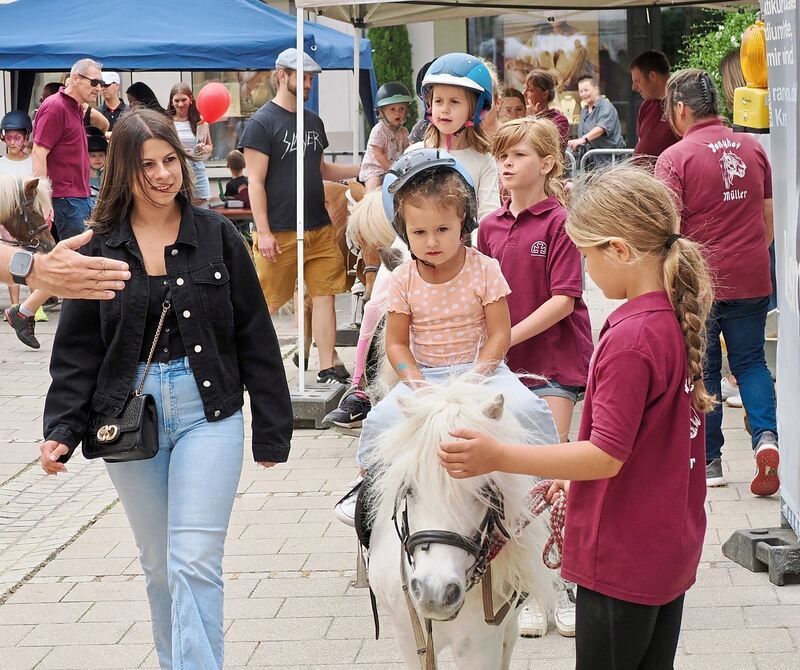 Die Ponys verzauberten die Kinder.