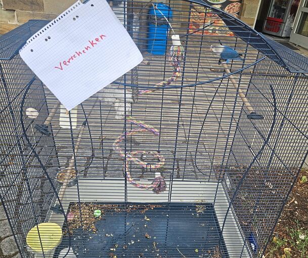 Der Vogel wurde samt Käfig in Oberstenfeld ausgesetzt.