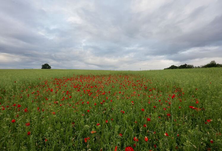 Wetter in Baden-Württemberg
