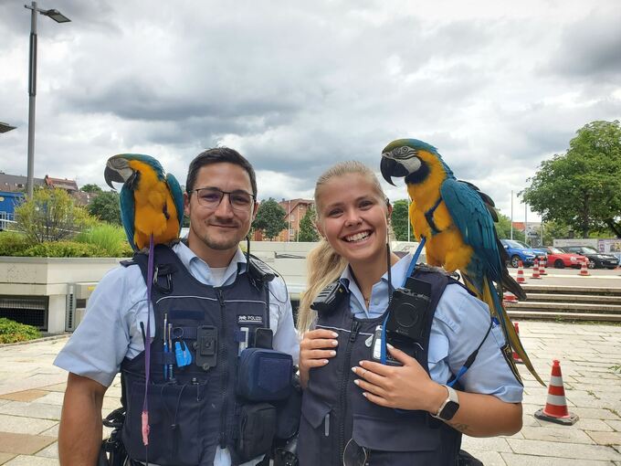 Polizisten als Papageien-Hüter