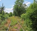 Wie groß werden die Einschnitte in die Natur der Weststadt für die Stadtbahn sein? Wie groß werden die Einschnitte in die Natur der Weststadt für die Stadtbahn sein?