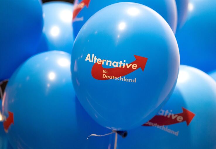 AfD Rheinland-Pfalz