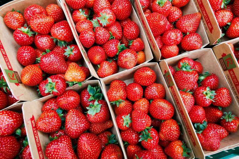Erdbeer-Saison 2025 in Hessen