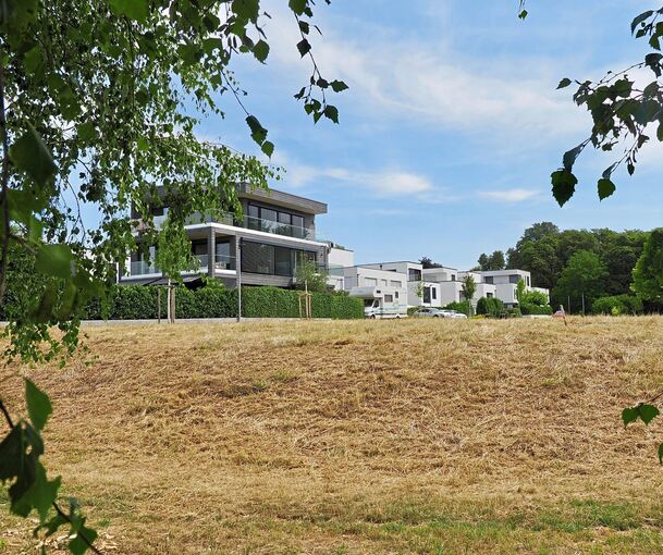 Diese Fläche in der Caerphillystraße soll bis spätestens Ende 2029 mit Einfamilien- und Doppelhäusern bebaut sein.