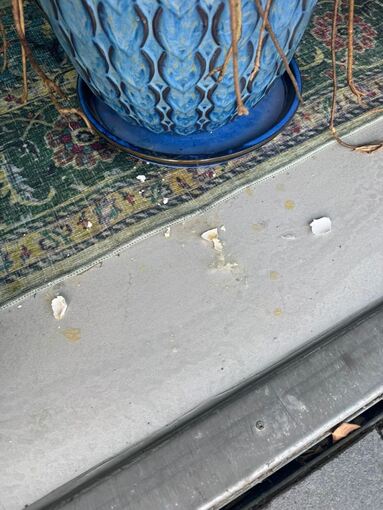 Eierwürfe auf israelisches Restaurant