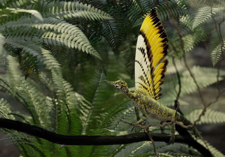 Hautauswüchse bei Ur-Reptil Hautauswüchse bei Ur-Reptil