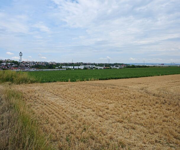 Der Schanzacker liegt auf der Gemarkung Ludwigsburg und gehört dem Land. Die Städte Tamm und Asperg würden das gerne ändern.