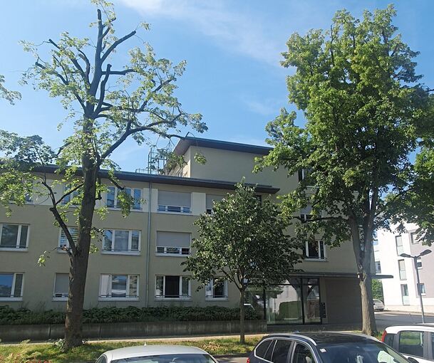 Vor dem Schnitt und nach dem Schnitt: In der Elisabeth-Kranz-Straße steht ein Prachtexemplar von einer Linde (rechts) und links ein gestutzter Baum.