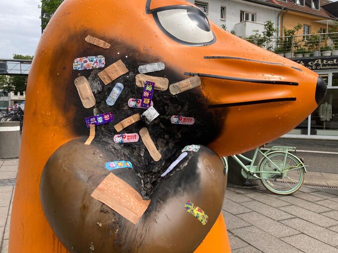 Pflaster für die Maus Pflaster für die Maus