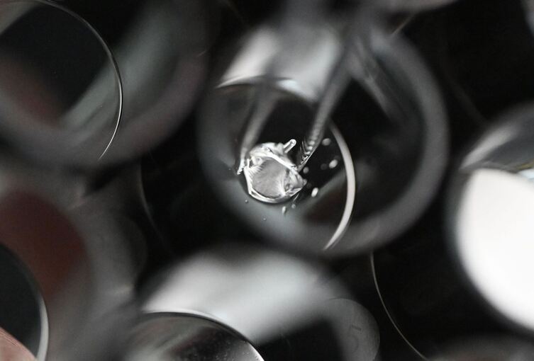 Bioprinting von Herzklappen