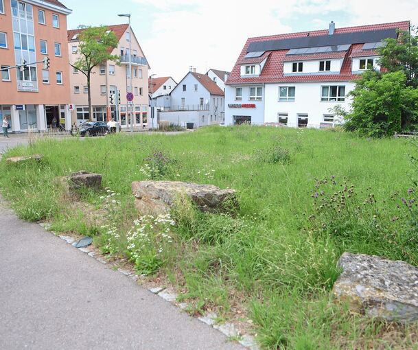 Die Stadt Freiberg verkauft dieses Grundstück in attraktiver Lage. Wo früher eine Tankstelle war, soll jetzt ein Wohnhaus mit Gewerbeflächen entstehen.