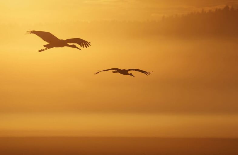Wetter in Baden-Württemberg