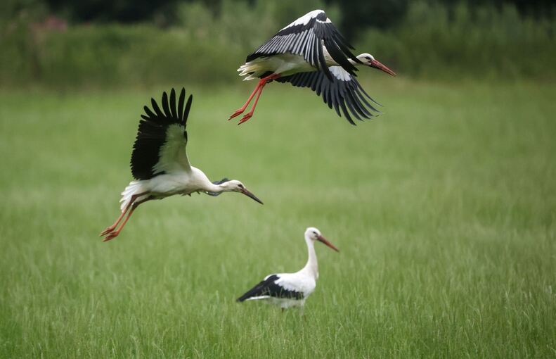 Wetter in Baden-Württemberg