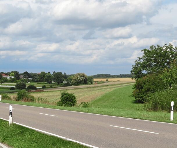 An der Kreisstraße von Vaihingen nach Kleinglattbach ist die Mittelalter-Erlebniswelt geplant.