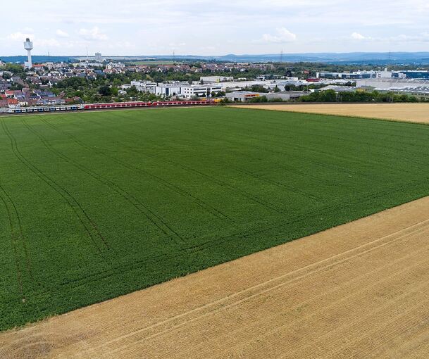 Der Schanzacker – wird er künftig bebaut sein? Diese Frage beschäftigt viele Asperger und Tammer wie kaum eine andere.