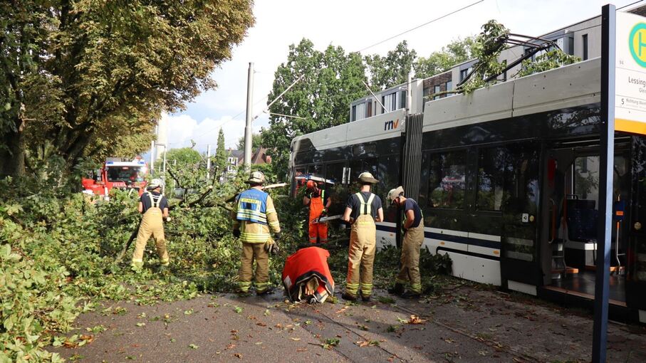 Baum stürzt bei Unwetter auf Straßenbahn