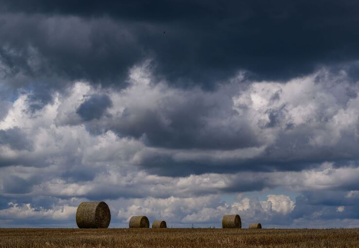 Regen lässt Landwirte um Getreideernte bangen