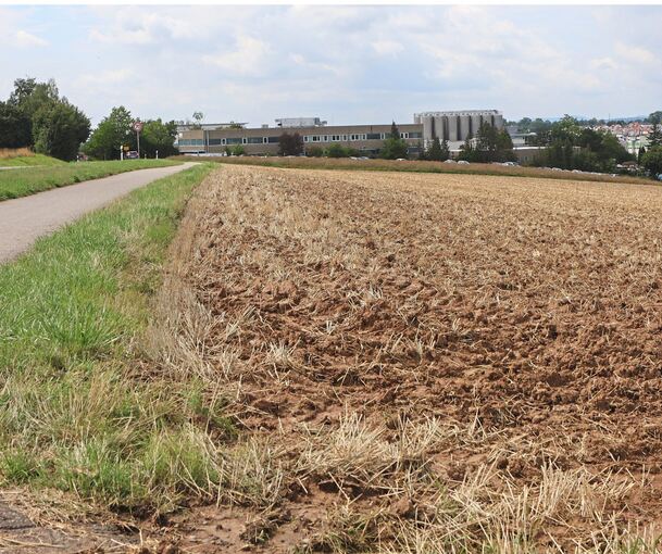 Acker zwischen Marbach und Erdmannhausen: Auf zehn Hektar wollen die beiden Kommunen hier das Gewerbegebiet Bremental umsetzen.