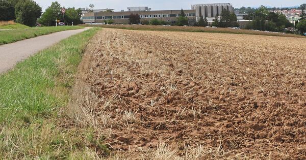 Mother Nature must give way: A commercial area in the Bottwartal can come