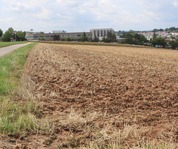 Zwischen Marbach und Erdmannhausen: Auf zehn Hektar wollen die beiden Kommunen hier das Gewerbegebiet Bremental umsetzen.