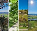 Spazieren und dabei die Aussicht genießen: Im Kreis Ludwigsburg gibt es viele schöne Orte. Spazieren und dabei die Aussicht genießen: Im Kreis Ludwigsburg gibt es viele schöne Orte.