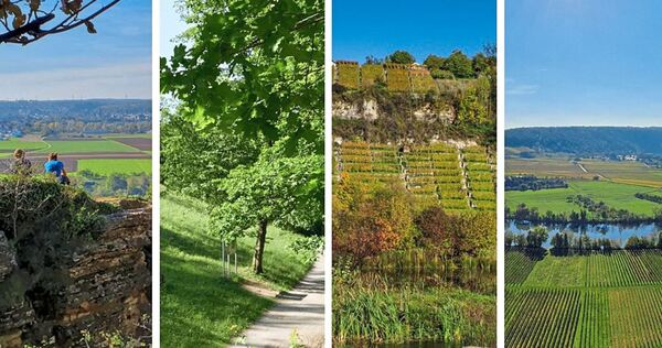 Spazieren und dabei die Aussicht genießen: Im Kreis Ludwigsburg gibt es viele schöne Orte.