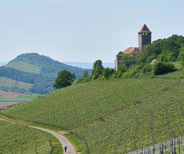 Die Burg Lichtenberg in Oberstenfeld aus der Ferne.