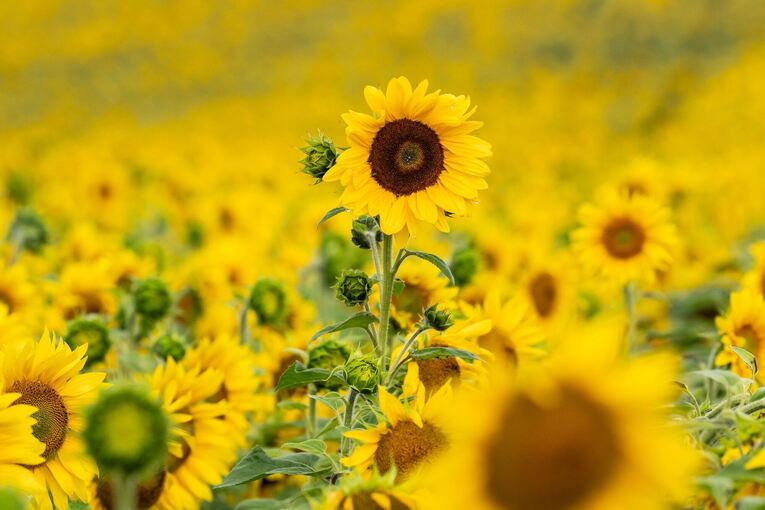 Wetter in Baden-Württemberg