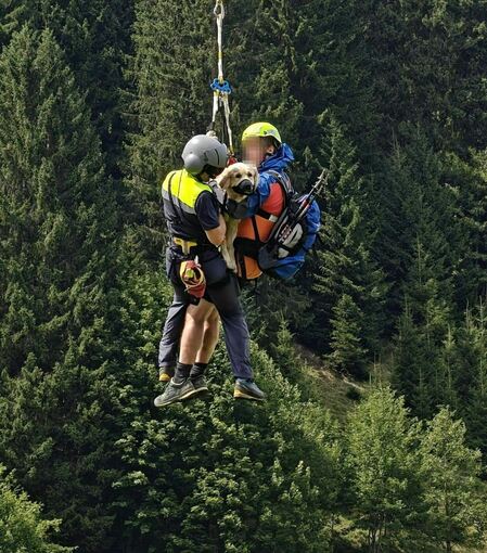 Hündin per Hubschrauber aus steilem Gelände geborgen