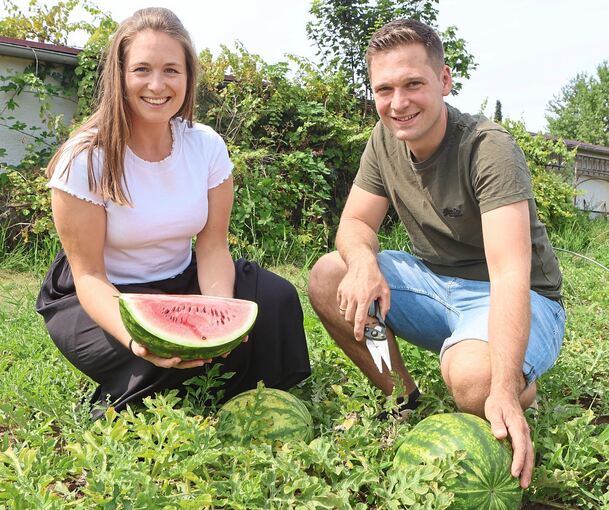 Wassermelone, Zuckermelone und Co. sind reif: Marie und Martin Joos läuten in Besigheim die Melonensaison ein.
