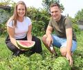 Wassermelone, Zuckermelone und Co. sind reif: Marie und Martin Joos läuten in Besigheim die Melonensaison ein. Wassermelone, Zuckermelone und Co. sind reif: Marie und Martin Joos läuten in Besigheim die Melonensaison ein.