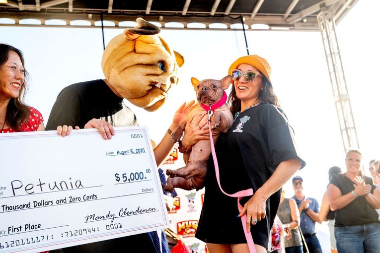 Wettbewerb für hässliche Hunde