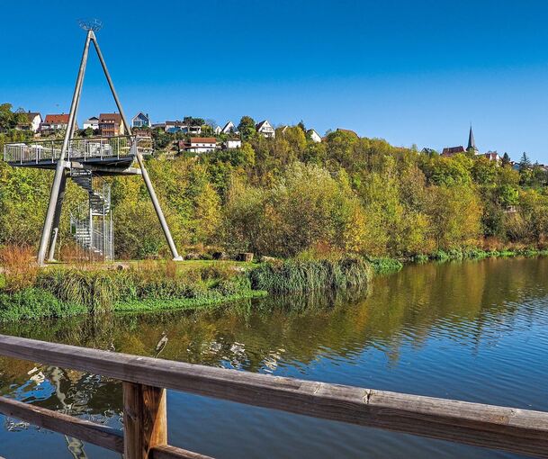 Bei dem Tier handelt es sich um eine Graugans, die im Neckarbiotop Zugwiesen im Wasser tot aufgefunden wurde. Im Landkreis Ludwigsburg ist dies der erste Fall von Geflügelpest bei einem Wildvogel in diesem Jahr.