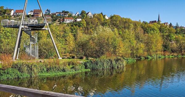 Gefl-gelpest-bei-Wildvogel-im-Landkreis-Ludwigsburg-festgestellt