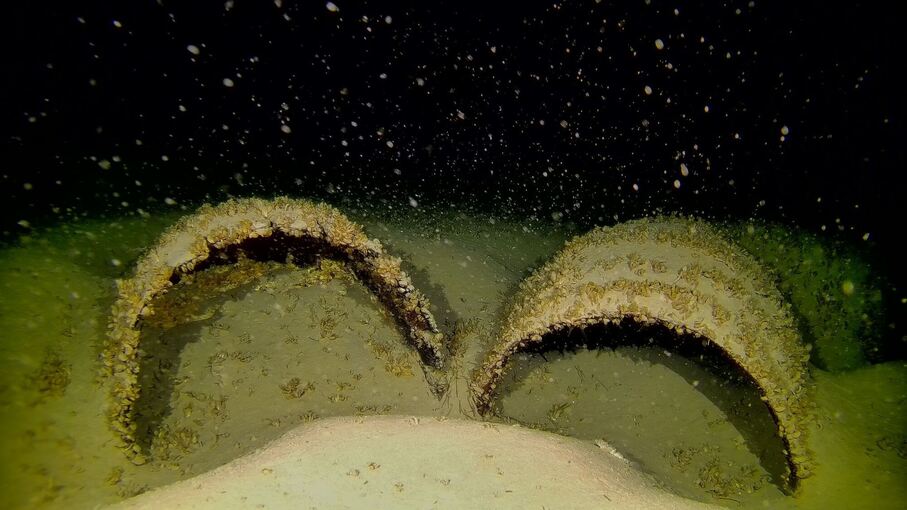 Auf dem Grund des Bodensees