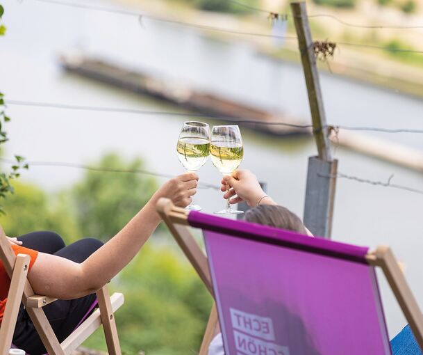 Ein Gläschen Wein mit Neckaraussicht inklusive.