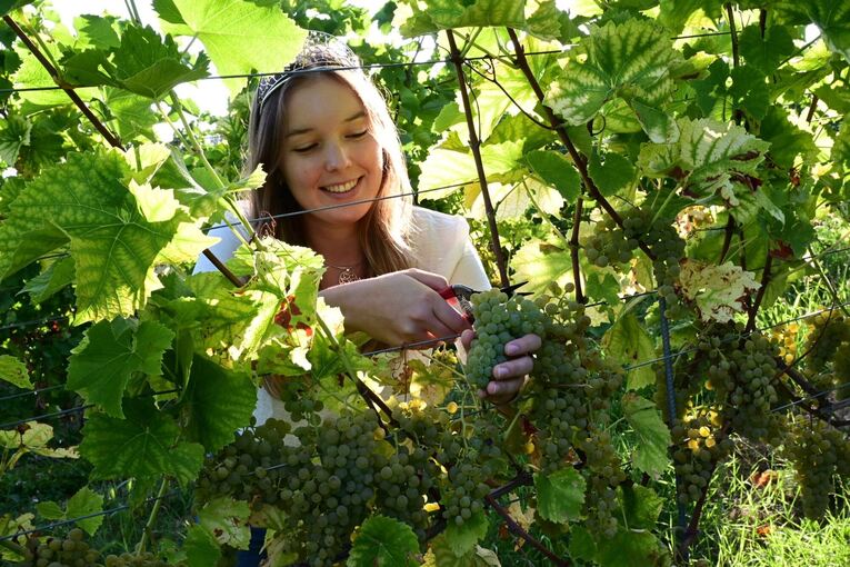 Badische Weinkönigin Tina Glur