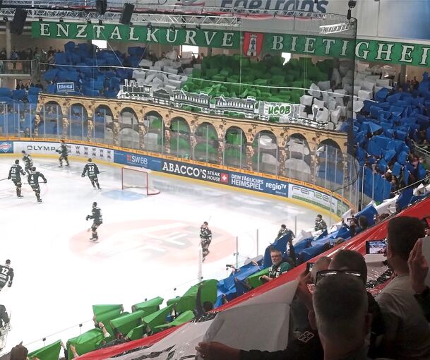 Markenzeichen der Steelers-Fans: Kreative und bunte Choreografien in der Enztalkurve.