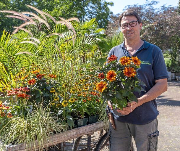 Blütenpracht: Bernd Hammer zwischen verschiedenen Stauden.