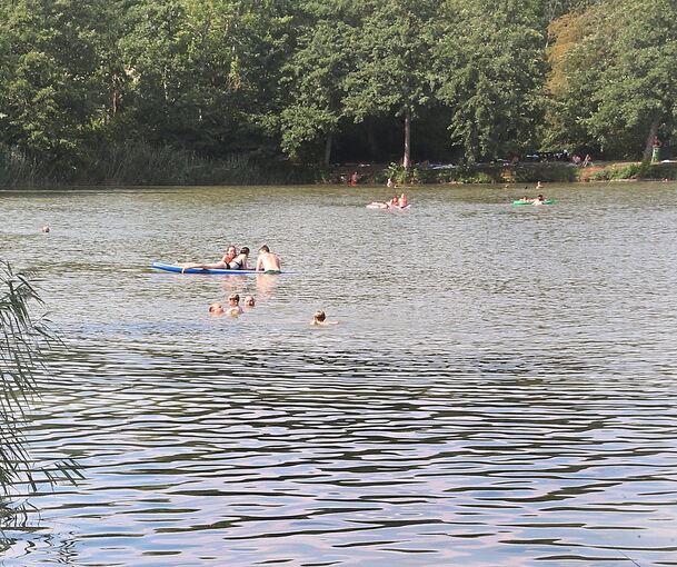 An einem Badesee in Horrheim wird ein 56-Jähriger vorläufig festgenommen.