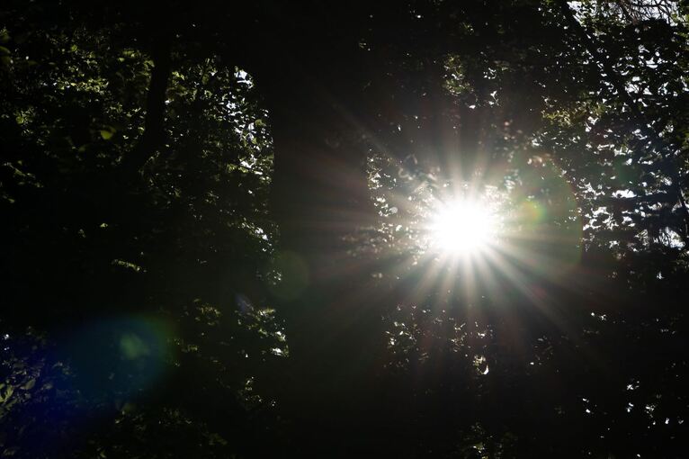 Wetter in Baden-Württemberg