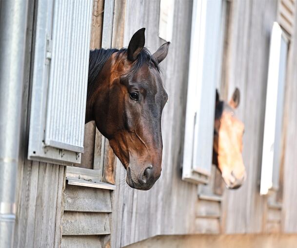 Im Kreis Ludwigsburg steht aktuell ein Betrieb unter Quarantäne.
