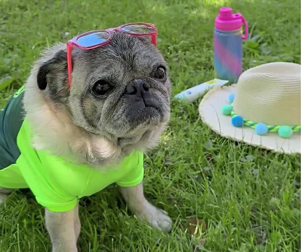 Mit Sonnenbrille und Strohhut: Doc Pablo in Aktion.